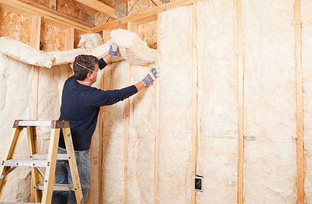 Types of Insulation We Offer in Junction, TX